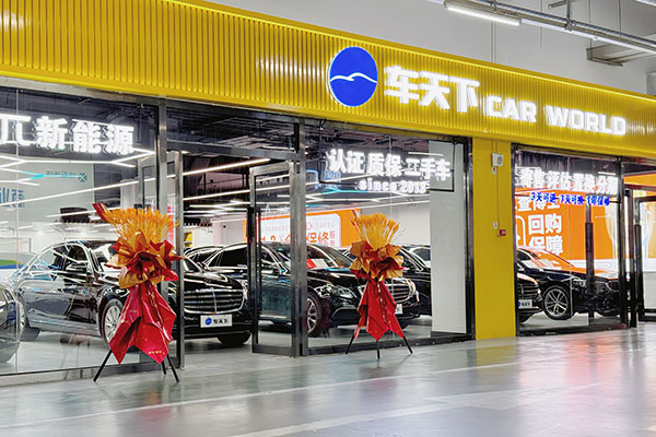 CARtechCarWorld Inspection