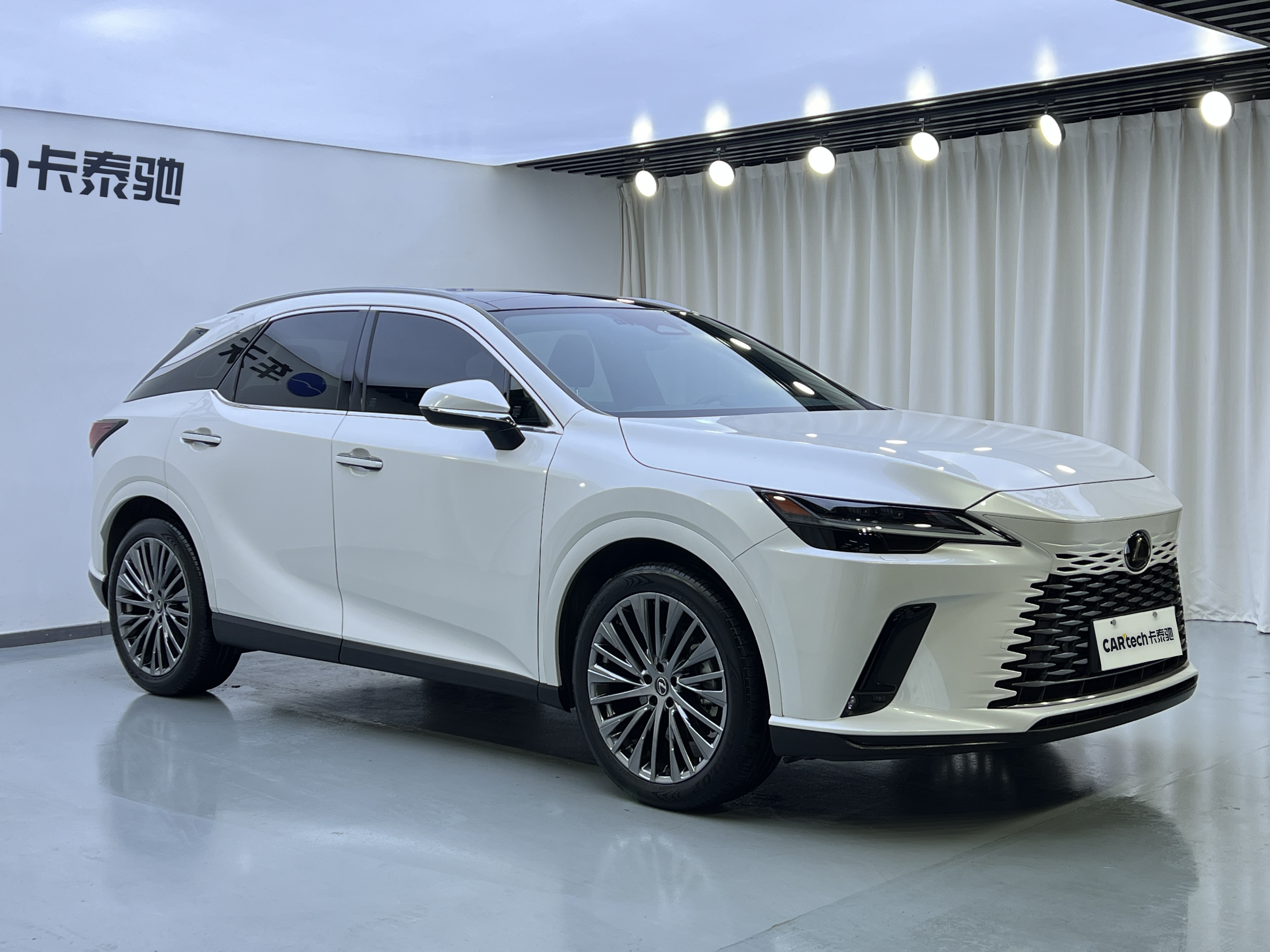雷克萨斯 雷克萨斯RX(进口) 2023款 350h 四驱醇享版