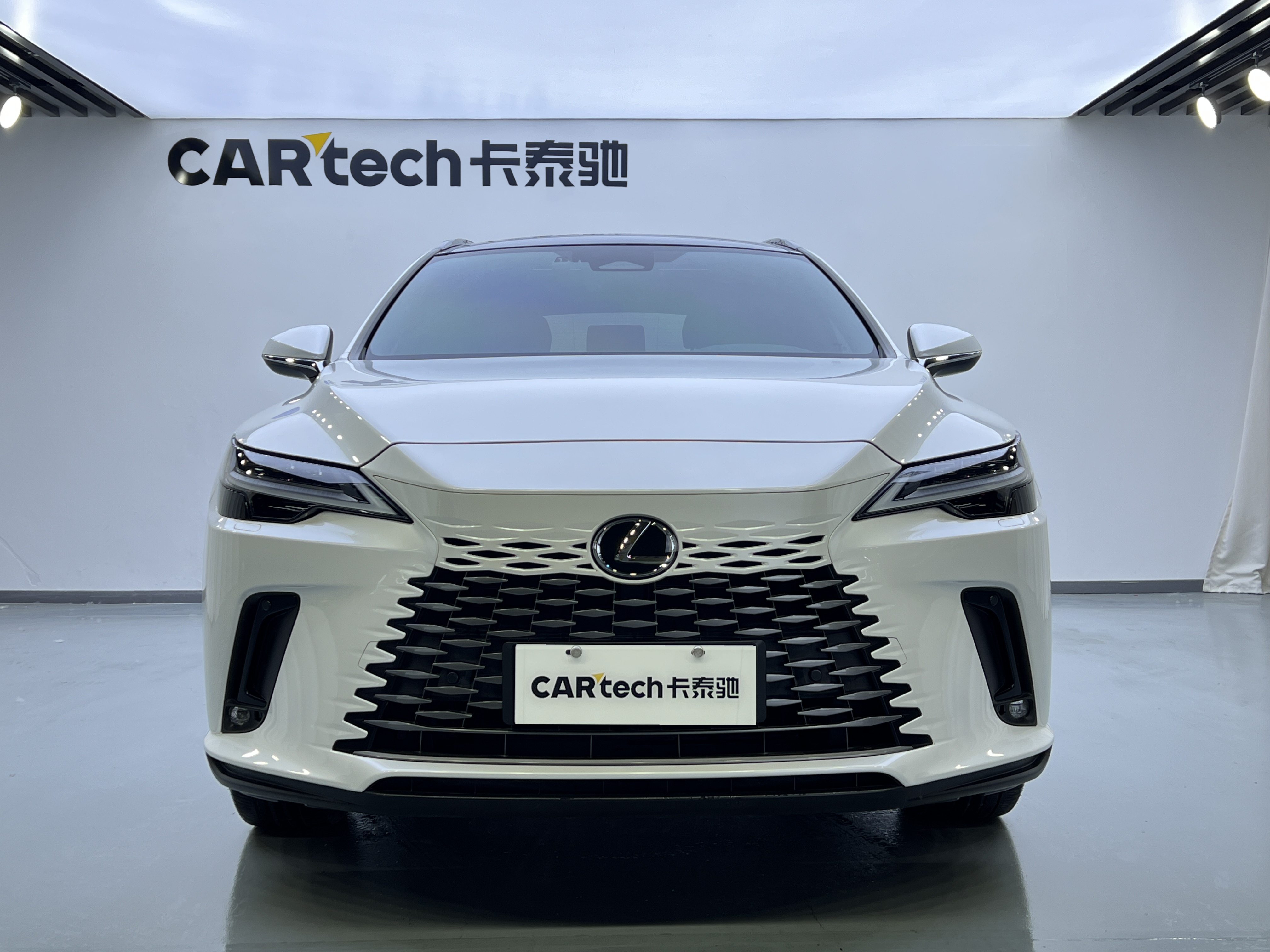 雷克萨斯 雷克萨斯RX(进口) 2023款 350h 四驱醇享版