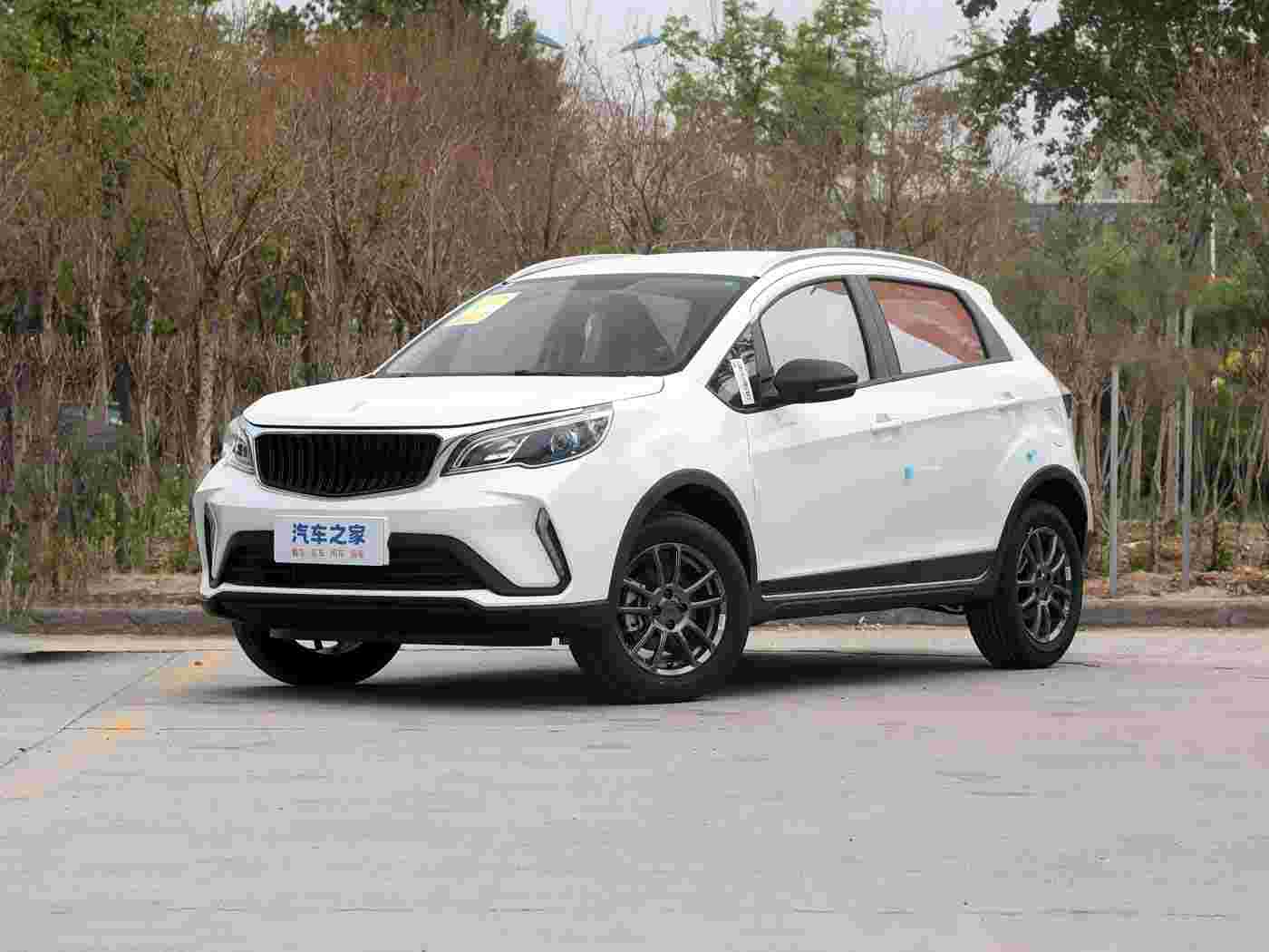  睿蓝汽车 X3 PRO 2024 款 1.5L手动小萌